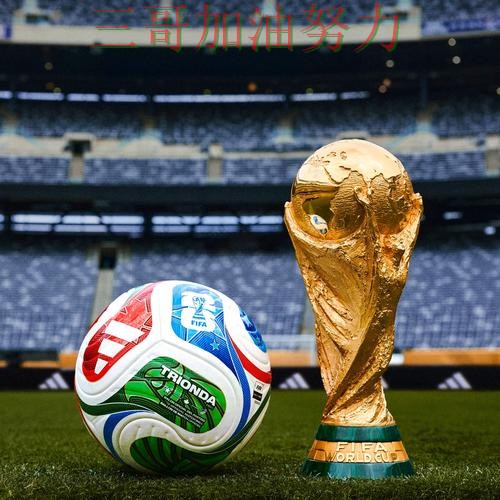 世界杯买球真实体验告诉你：平台可靠吗的正确方式（FIFA World Cup 2026）